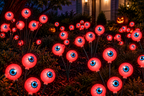 Solar Powered Halloween and Christmas Light
