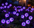 Solar Powered Halloween and Christmas Light